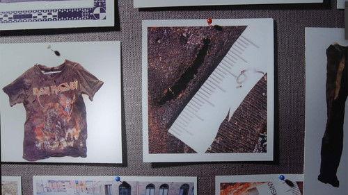 Svenska fall Season 9 Episode 3 - The death in the park