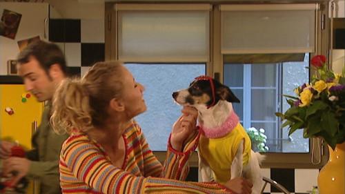 A Guy, a Girl Season 5 Episode 14 - Episode 14