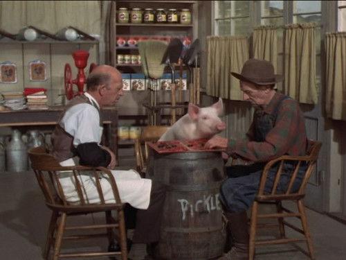 Green Acres Season 5 Episode 6 - The Road