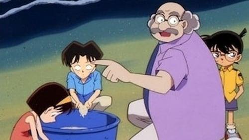 Detective Conan Season 1 Episode 247 - The Mystery in the Net (2)