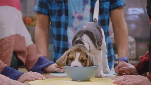 K3 RollerDisco Season 1 Episode 12 - Episode 12