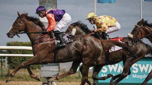 Polizeiruf 110 Season 49 Episode 2 - Totes Rennen