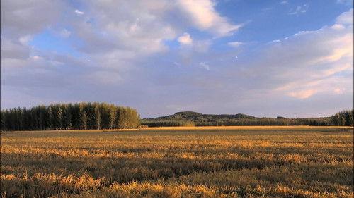 A Bite of China Season 1 Episode 2 - The Story Of Staple Foods