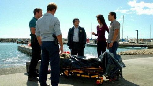Hawaii Five-0 Season 2 Episode 8 - Lapa‘au (Healing)