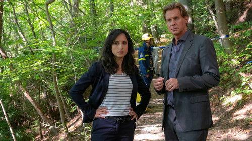 Der Alte Season 53 Episode 5 - Episode 5