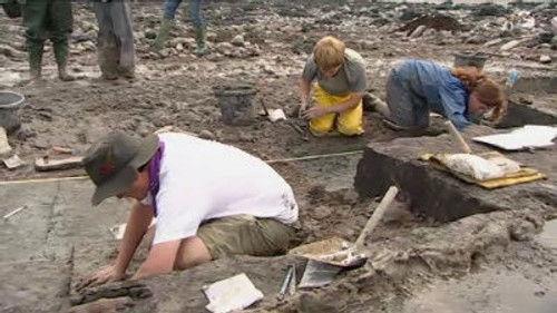 Time Team Season 11 Episode 8 - Rescuing a Mesolithic Foreshore - Goldcliff, Newport