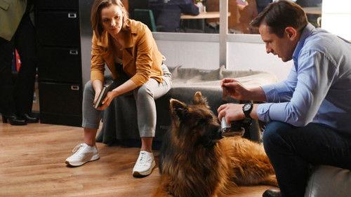 Komisarz Alex Season 20 Episode 2 - Episode 2