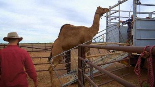 Outback Truckers Season 9 Episode 10 - Episode 10