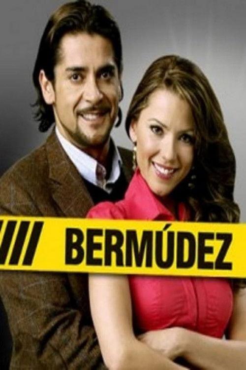 Bermúdez poster