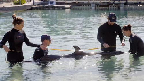 Gold Coast Ocean Rescue Season 1 Episode 5 - Episode 5