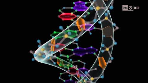 Ulisse - Il piacere della scoperta Season 16 Episode 12 - Le sorprese del DNA (seconda versione)