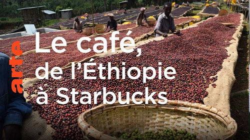 Mapping the World Season 31 Episode 23 - Coffee: A Global Beverage