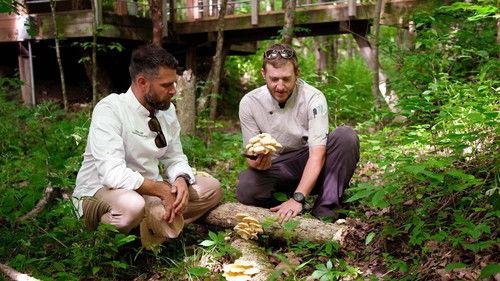 Wisconsin Foodie Season 12 Episode 2 - Emmi Roth | Anaway Place