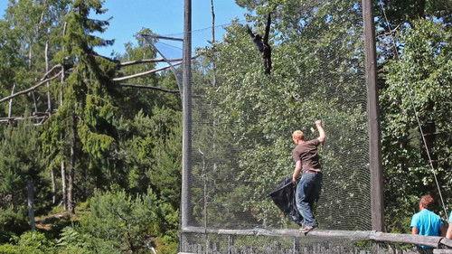 Dyrepasserne Season 1 Episode 7 - Program 7