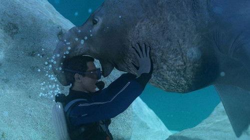 Do or Die Season 1 Episode 10 - Disaster on the High Seas