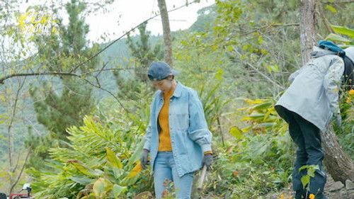 Light the Wild Season 1 Episode 8 - Episode 8