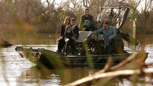 undefined Season 4 Episode 19 - Gator Done