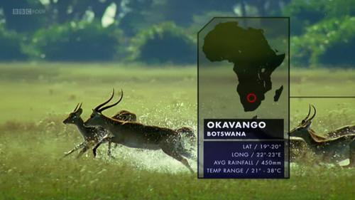 Nature's Microworlds Season 1 Episode 5 - Okavango