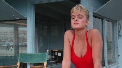 Baywatch Season 1 Episode 6 - The Sky is Falling