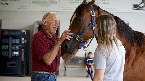 The Incredible Dr. Pol Season 23 Episode 2 - Fairest Of Them All