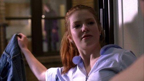 Law & Order Season 17 Episode 15 - Melting Pot