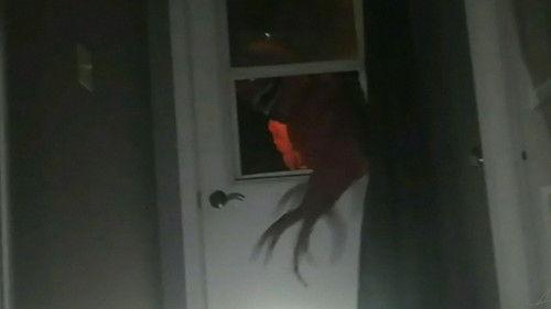 Vita Carnis Season 2 Episode 4 - Mimic defense instructional tape