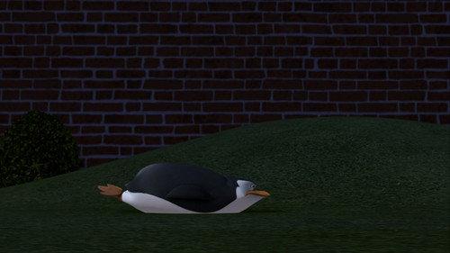 The Penguins of Madagascar Season 1 Episode 8 - Penguiner Takes All