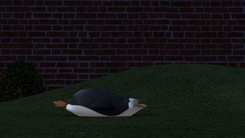 undefined Season 1 Episode 8 - Penguiner Takes All