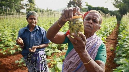 Le Doc du dimanche Season 11 Episode 21 - Episode 21