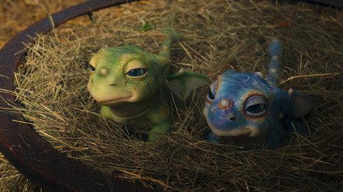 Lovely Little Farm Season 2 Episode 3 - Dragon Babies