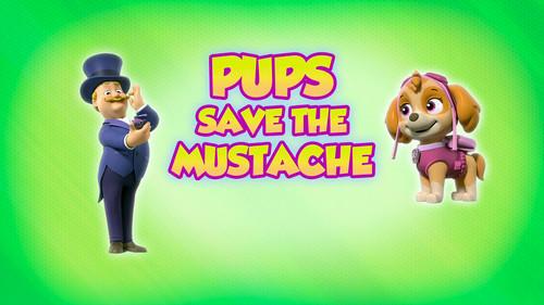 PAW Patrol Season 8 Episode 9 - Pups Save the Mustache