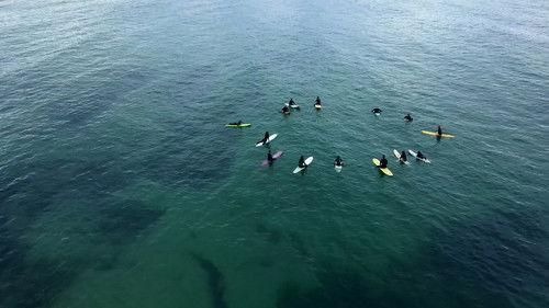 People's Republic of Mallacoota Season 1 Episode 4 - A Very Nervous Guinea Pig