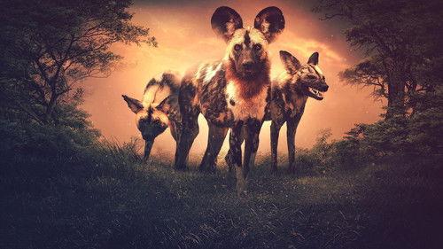 NOVA Season 47 Episode 13 - Nature's Fear Factor