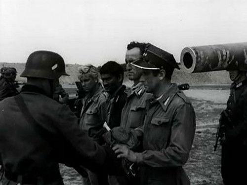 Four Tank-Men and a Dog Season 2 Episode 5 - Zaklad o smierc