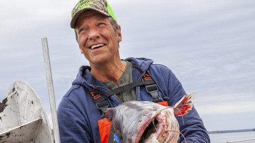 Dirty Jobs Season 11 Episode 4 - Caviar Harvester / Spice Maker