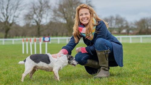 Bargain Hunt Season 68 Episode 19 - Barking Hunt