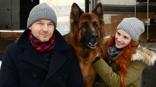 Komisarz Alex Season 9 Episode 6 - Episode 6