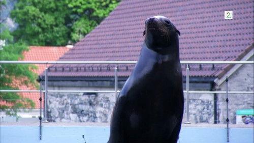 Akvariet Season 3 Episode 10 - Episode 10