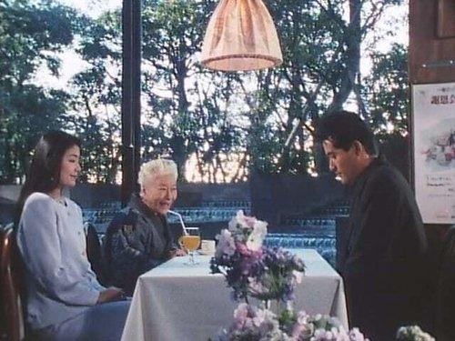 Chōjin Sentai Jetman Season 1 Episode 7 - Ryuu's Marriage!?