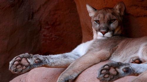 Mexico Untamed Season 1 Episode 1 - Hunt and Seek