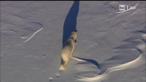 Superquark Season 22 Episode 2 - Episode 2