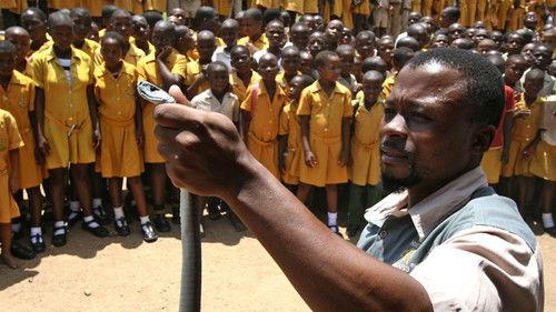 Natural World Season 29 Episode 4 - Black Mamba, White Witch