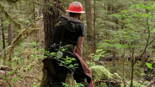 How America Works Season 1 Episode 1 - Lumber