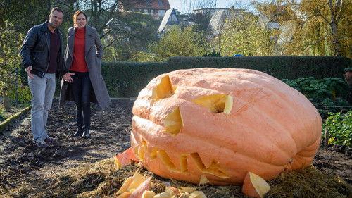 SOKO Wismar Season 18 Episode 24 - Episode 24