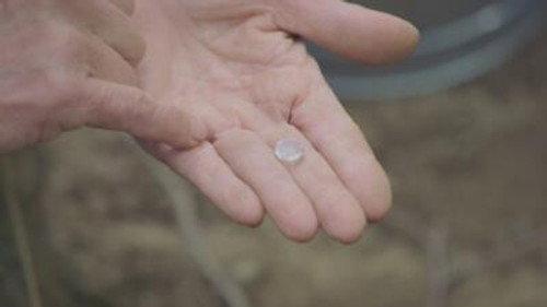 The Curse of Oak Island Season 12 Episode 13 - Caissons Ho!