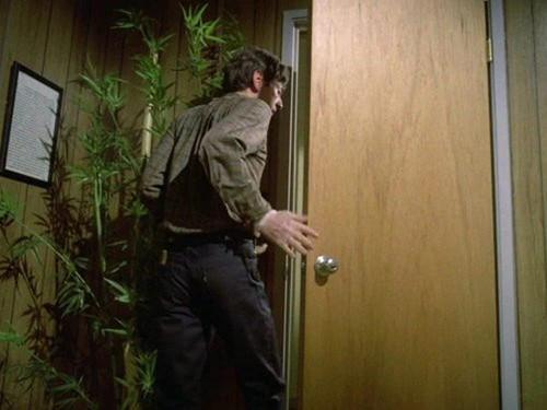 Hawaii Five-O Season 7 Episode 3 - I'll Kill 'Em Again