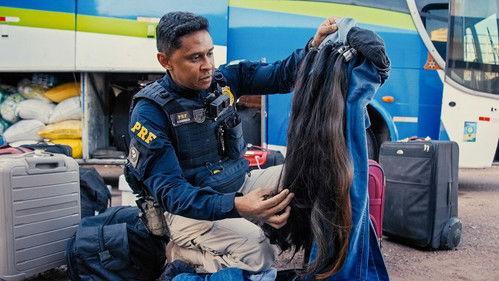 Border Control: Brazil Season 5 Episode 14 - Episode 14