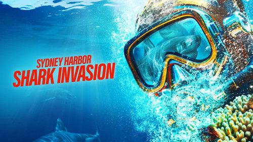 Shark Week Season 37 Episode 4 - Sydney Harbor Shark Invasion