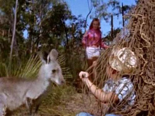 Skippy the Bush Kangaroo Season 1 Episode 13 - The Honeymooners