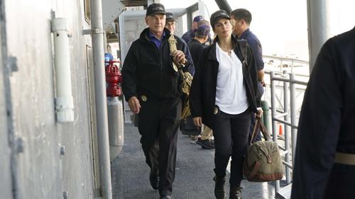 NCIS Season 14 Episode 4 - Love Boat